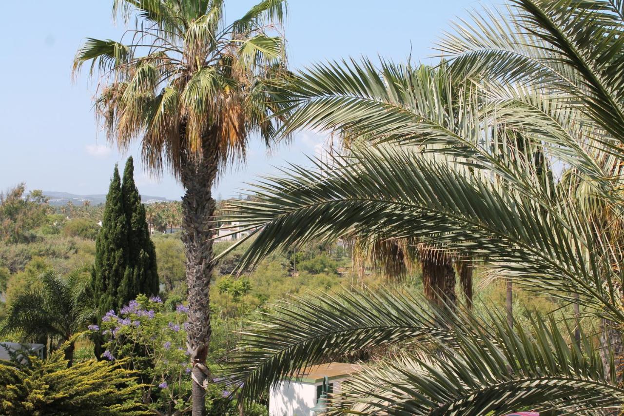 New View Sotogrande Marina - Jungla Del Loro Appartement Buitenkant foto
